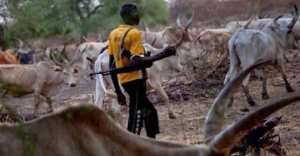 Afenifere advices Buhari to declare amnesty for killer herdsmen, others