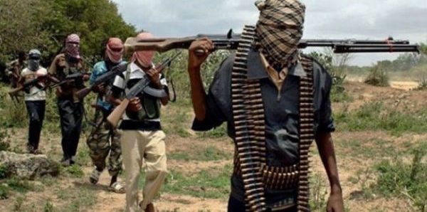 Many feared dead as Boko Haram invades Borno village