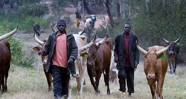 Three herdsmen arrested for killing farmer in Ogun