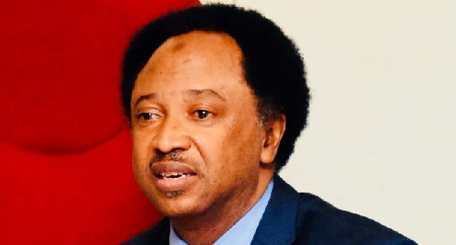 Shehu Sani says Buhari’s govt is deceitful about restructuring