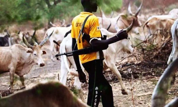 Fulani group explains why herdsmen carry arms