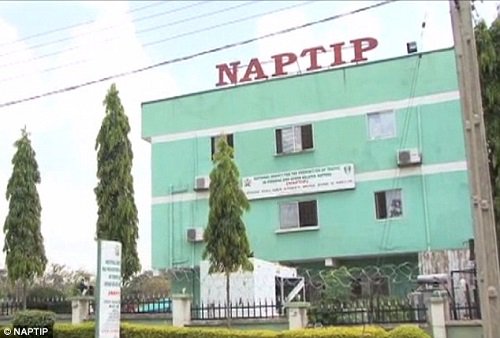 NAPTIP arrests travel agent for human trafficking in Benin