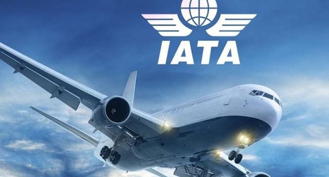 Nigeria’s economy may lose N238.6bn revenue, 91,380 jobs as shutdown hits aviation industry – IATA