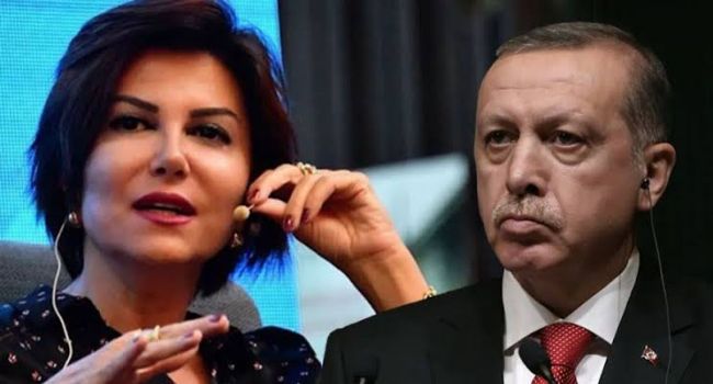 Turkish President Erdogan vows to punish journalist who allegedly insulted him