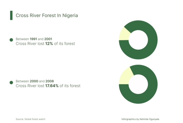 SPECIAL REPORT: Inside the illegal trading of forest woods in Cross River community